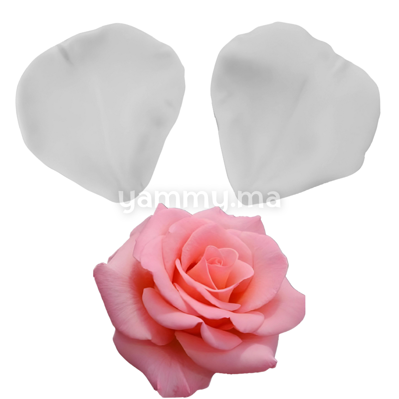 SET. 2 Moules Silicone Pétales de Fleurs & Feuilles MSP201